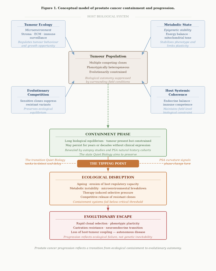 Conceptual model of prostate cancer containment and progression.